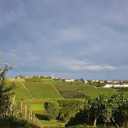 Cascina Le Gemelle * 몬테그로소 다스티